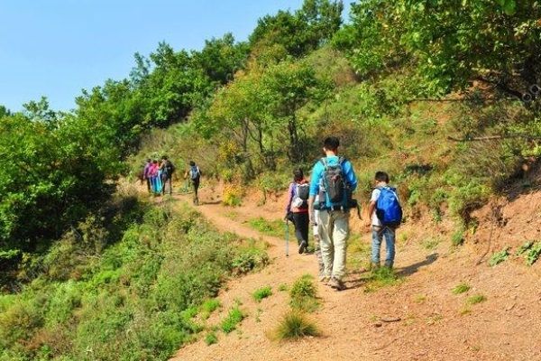 37名中外大学生驴友夜困野长城，外出旅游要注意些什么？(4)