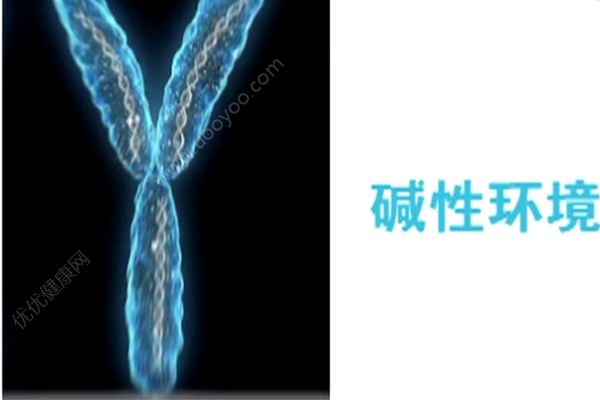 号称助孕男孩的“神药”重现市场，生男生女是什么决定的？(4)