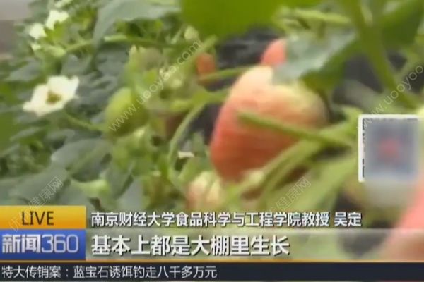 最脏水果排行榜不靠谱，专家：说草莓苹果农残高没依据(2)