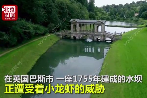 10万小龙虾围攻英国水坝，政府斥巨资展开防御(2)