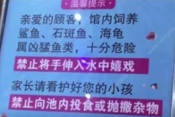 女童被商场鲨鱼咬伤致手部骨折，母亲：它突然跳起(4)