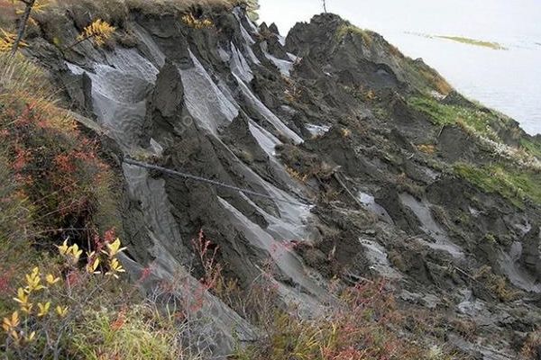 4万年前冰封线虫被复活，再次让人类看到延续生命的希望！(3)