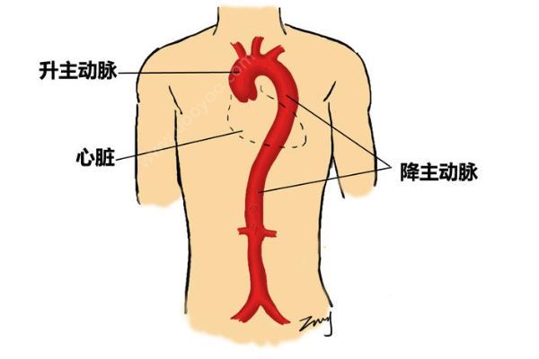 深圳52岁女子突发腹痛求医，7小时打两针医院身亡(3)