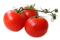 现在买的西红柿为什么都是硬邦邦，吃起来像塑料一样？[多图]