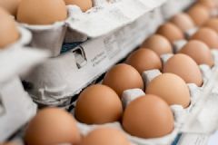 美国农场召回超2亿枚问题鸡蛋，疑被沙门氏菌感染[多图]