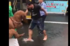 抱狗乘公交车遭拒，男子与司机雨中斗殴[多图]